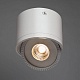 потолочный светодиодный светильник arte lamp studio a4105pl-1wh