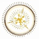 подвесная люстра st luce aversa sl1352.203.09