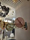 подвесная светодиодная люстра odeon light exclusive caramella 5412/95l