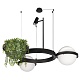 подвесная люстра loft it jardin 10121/2