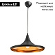 подвесной светильник arte lamp cappello a3406sp-1bk