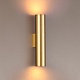 настенный светодиодный светильник odeon light dario 3833/2wa