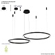 подвесной светодиодный светильник crystal lux fortuna sp123w led black