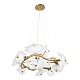 подвесная люстра loft it bloom 10352/850 ab