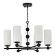 подвесная люстра st luce aurora sl2003.403.06