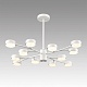 люстра на штанге lumion comfi torina 8265/12