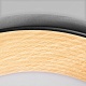 потолочный светильник loft it folk 10255/500 black