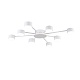 потолочная люстра lumion comfi torina 8343/8c