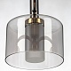 люстра на штанге citilux elan cl241171