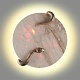 настенный светильник odeon light snake 7033/10wl