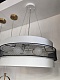 потолочный светильник lumion animaisa 8002/6c