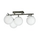потолочная люстра citilux dorsy cl223141