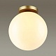 потолочный светильник odeon light 4248/1c