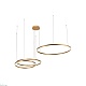 подвесной светодиодный светильник loft it ring 10017/3s