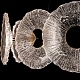 подвесная светодиодная люстра arte lamp cherish a2097lm-90go