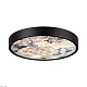 настенно-потолочный светильник odeon light bergi 5064/24l