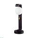 ландшафтный светильник odeon light nature luma 5434/1f