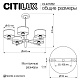 люстра на штанге citilux alton cl421252