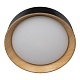 потолочный светодиодный светильник loft it coin 10202 black
