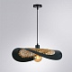 подвесной светильник arte lamp woodstock a7059sp-1bk