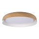 потолочный светодиодный светильник loft it coin 10198 white