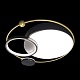 потолочный светодиодный светильник loft it mike 10064