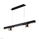 подвесная светодиодная люстра ambrella light comfort linetech fl5956