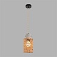 подвесной светильник lumion eco boho 8366/1a