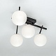 настенно-потолочный светильник citilux dorsy cl223142