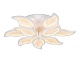 потолочная светодиодная люстра ambrella light acrylica original fa460