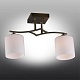 потолочная люстра omnilux pisticci oml-55317-02