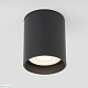 уличный потолочный светильник elektrostandard light led 4690389176968