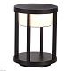 ландшафтный светильник st luce pokko sl9536.405.32