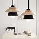 подвесной светильник imperiumloft eco 178163-26