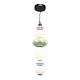 подвесная люстра st luce florentini sl6134.433.01