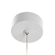 подвесной светильник citilux hardy cl002p10