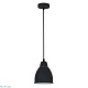 подвесной светильник arte lamp braccio a2054sp-1bk