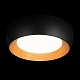 потолочный светильник loft it folk 10255/500 black