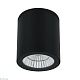 уличный потолочный светильник arte lamp torcular a1813pf-1bk