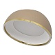 потолочный светильник citilux floom cl736152