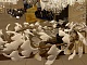 подвесная люстра loft it fleur 10124/8