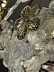 подвесная люстра newport 3660 3665+10/s м0068738