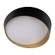 потолочный светодиодный светильник loft it coin 10199 black