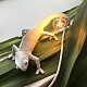 настенный светильник chameleon going down usb seletti