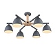 люстра на штанге lumion colange 8096/6c