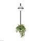 настенный светильник loft it jardin 10121w/b