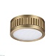 накладной светильник odeon light hightech manchester 7013/7cl