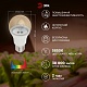 фитолампа для растений эра fito-11w-ra90-e27 б0050603