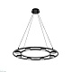 подвесная люстра lumion moderni torina 8340/8
