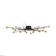 потолочная люстра freya celebrity fr5242cl-24b